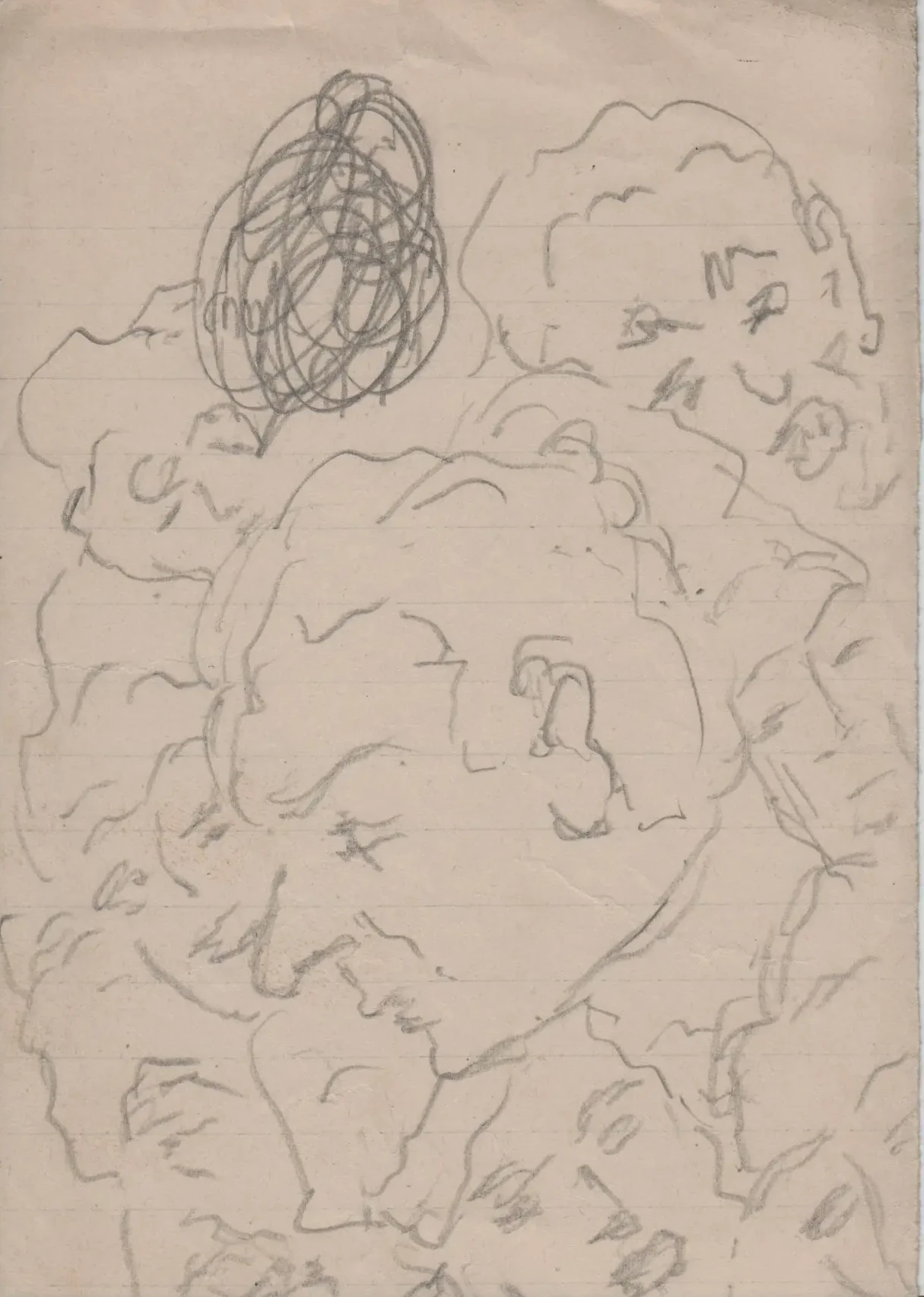 Disegno 7