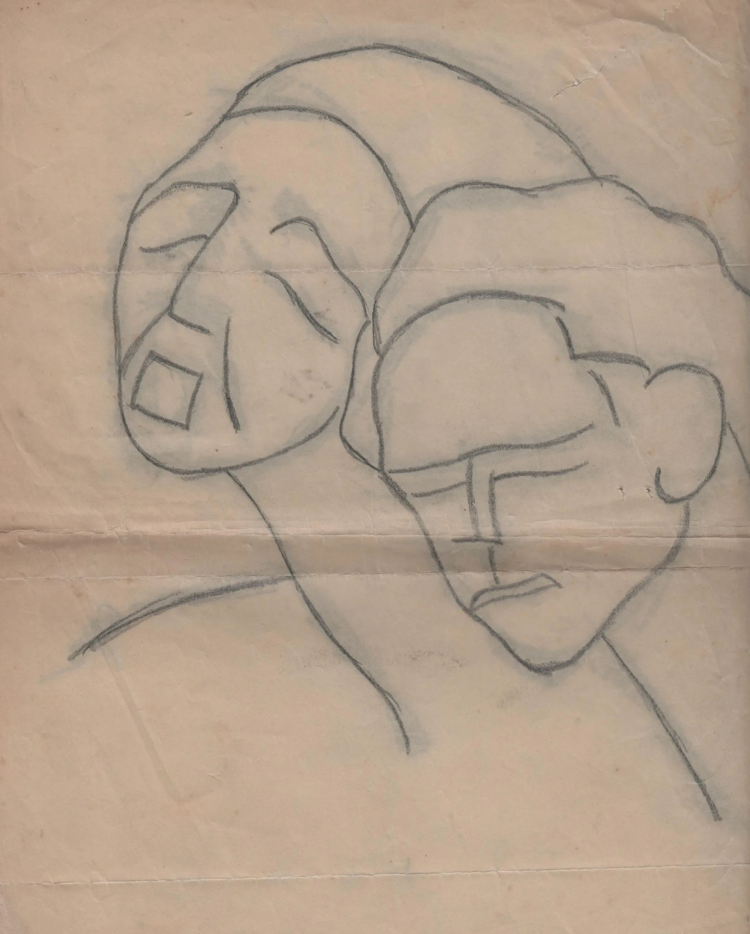 Disegno 13