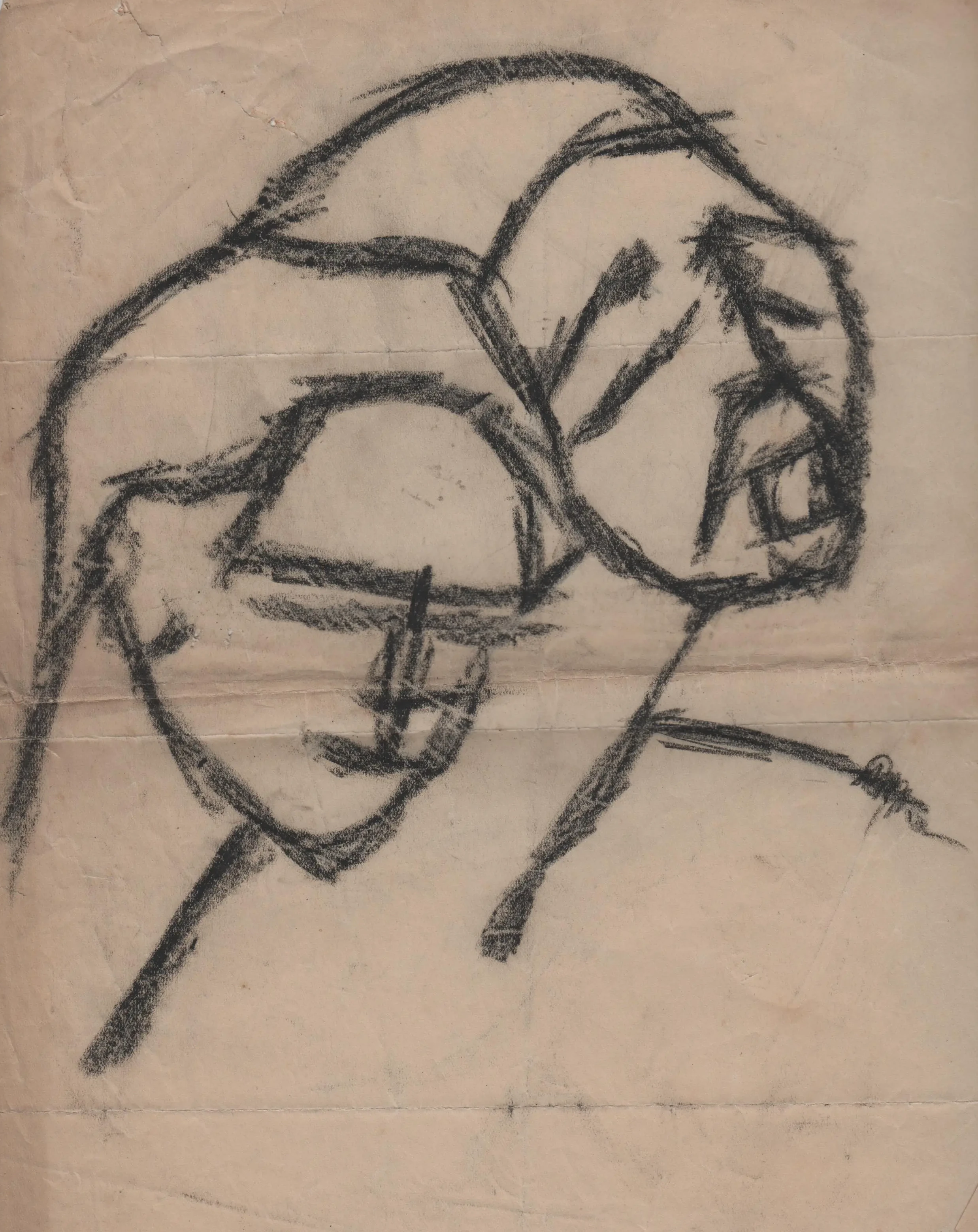 Disegno 14
