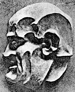 Un sorriso del Duce, s.d.